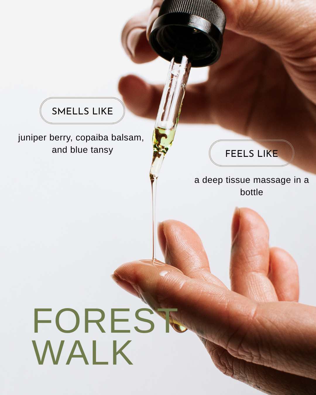 The Botanyst Mind–Body Ritual Gift Collection