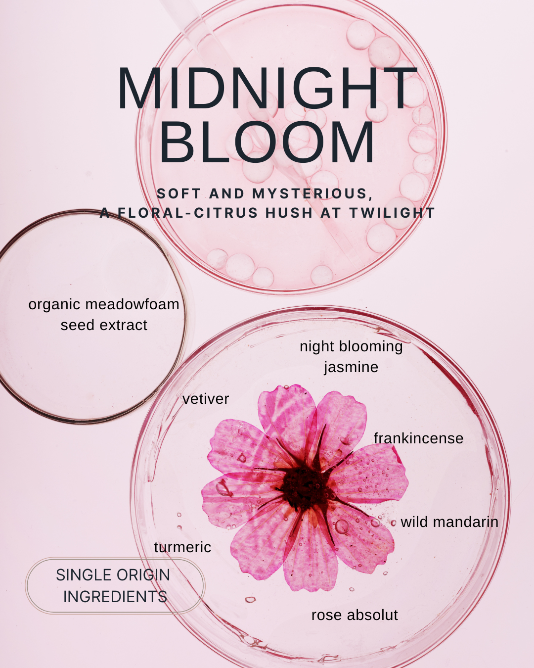 Midnight Bloom Natural Perfume Oil – Floral Citrus Scent