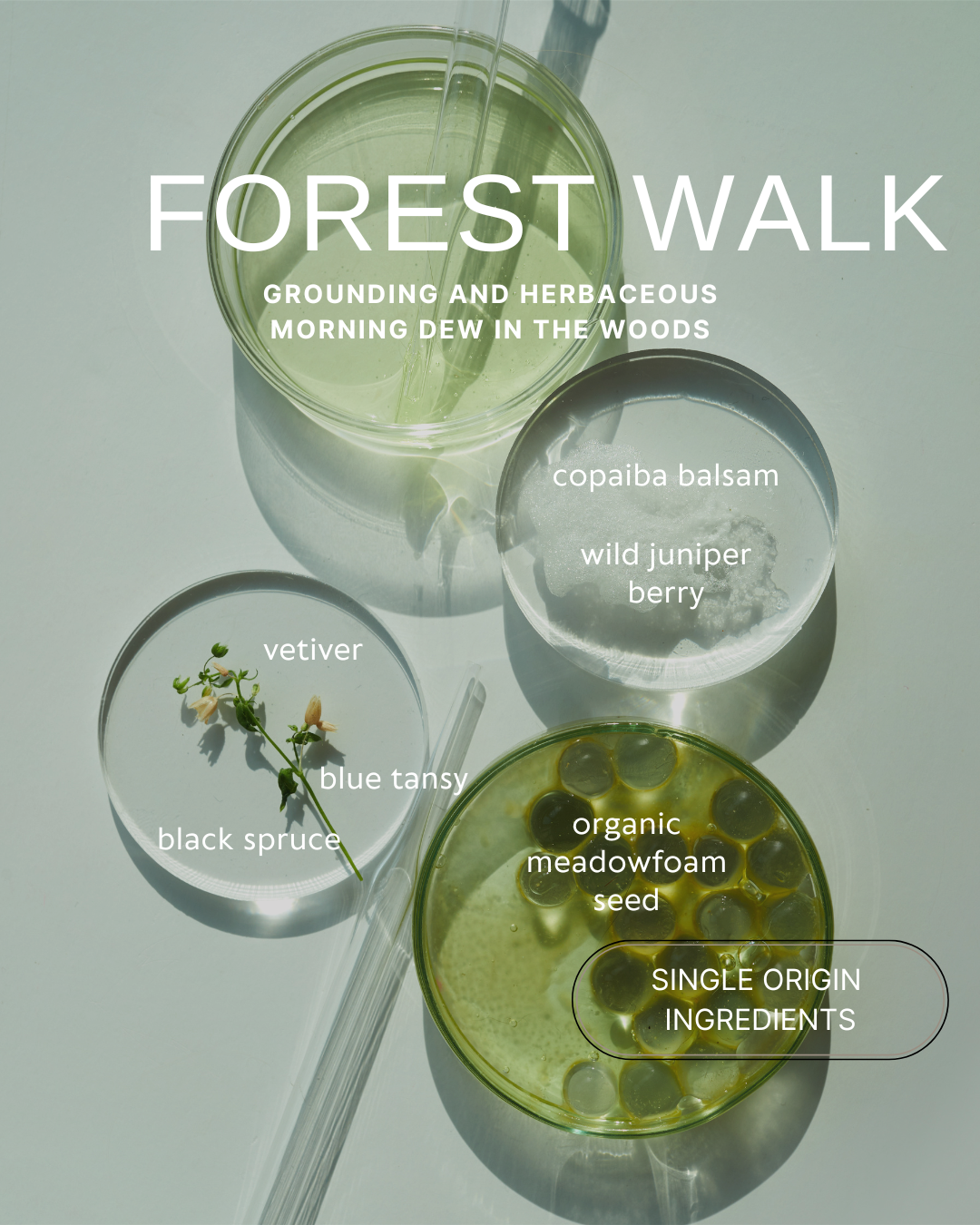 Forest Walk Natural Perfume Oil – Botanical Fragrance