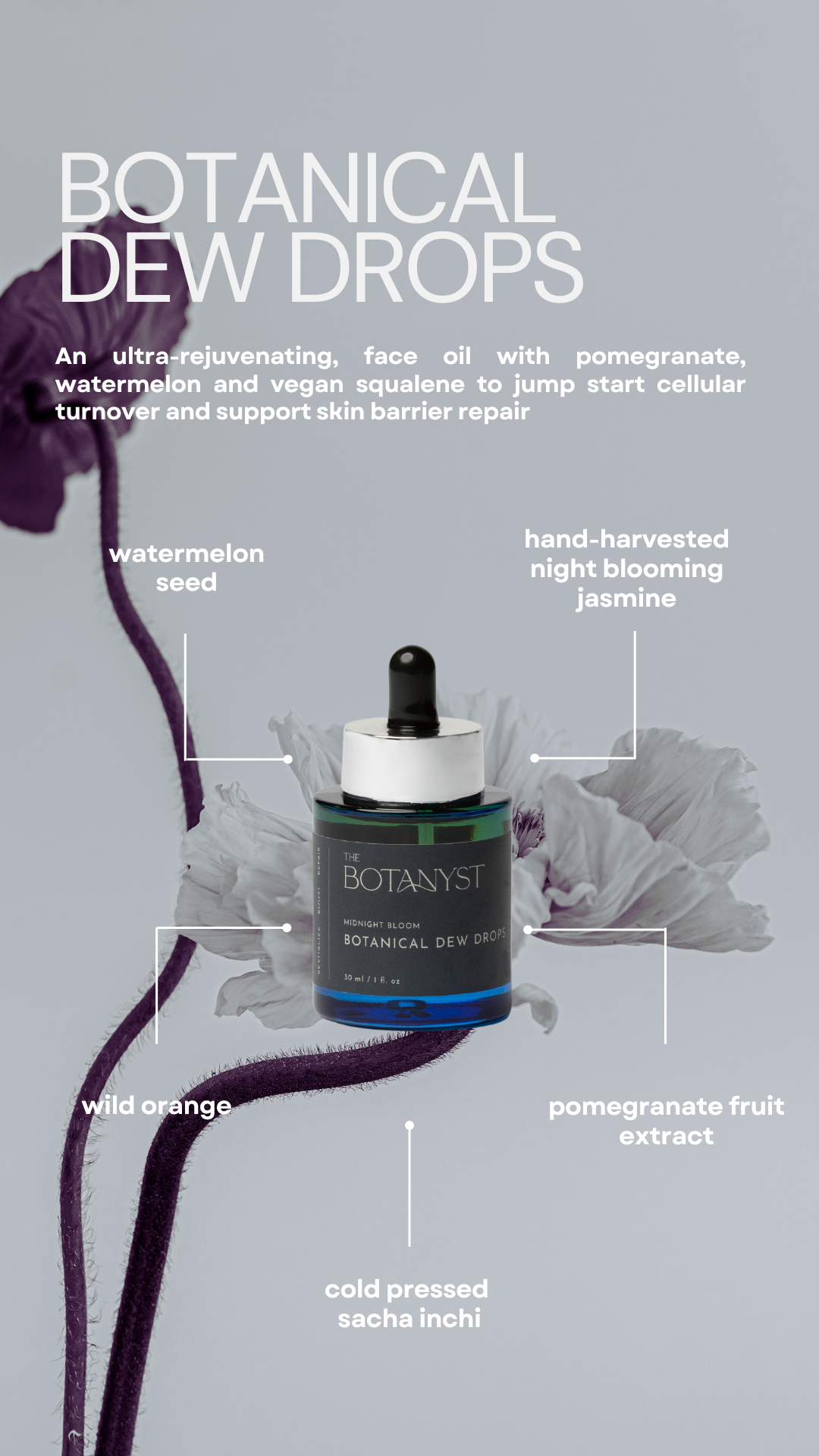 Botanical Dew Drops – Brightening Multi-Tasking Face Oil